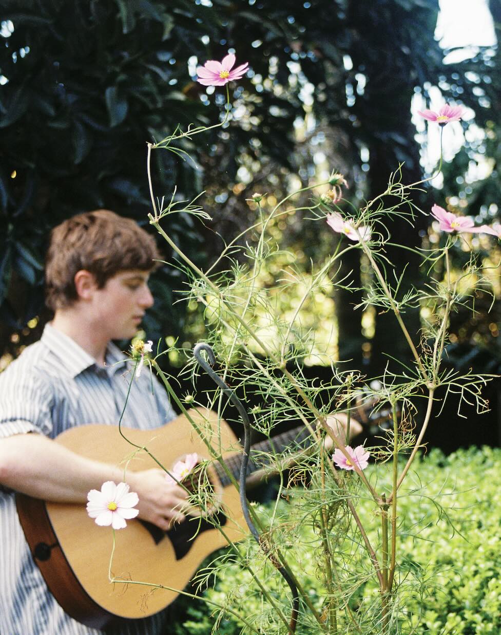 Guitar with flower